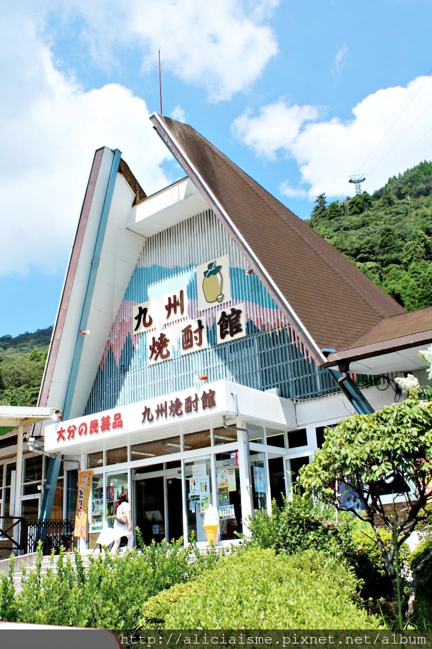 【大分縣】別府空中纜車：來趟四季花海鶴見山＋擁抱別府灣的浪漫空中散策