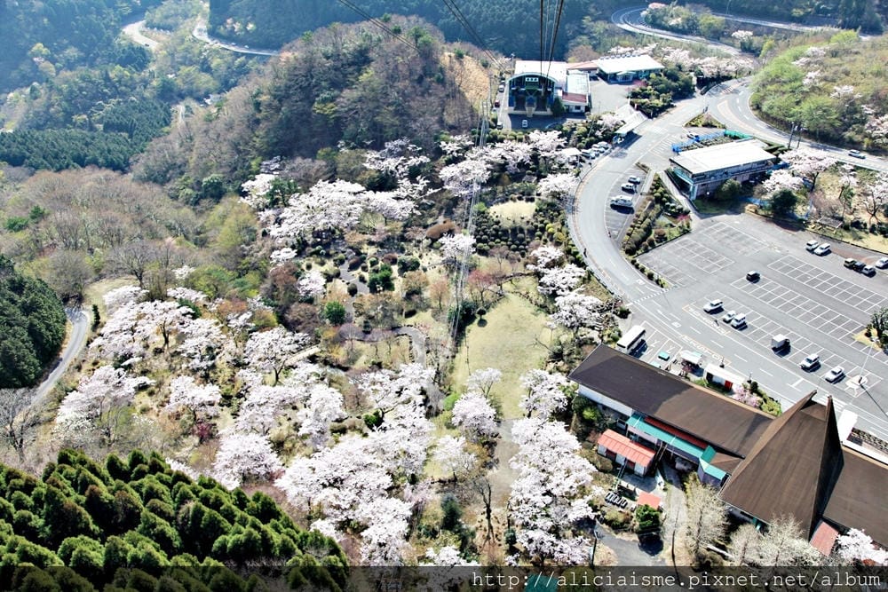 【大分縣】別府空中纜車：來趟四季花海鶴見山＋擁抱別府灣的浪漫空中散策