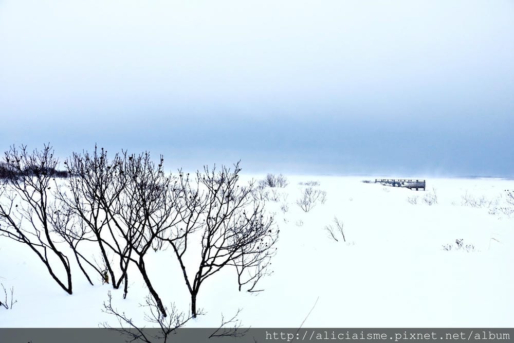 【北海道。豊富站】佐呂別濕原的冬日雪中健行體驗