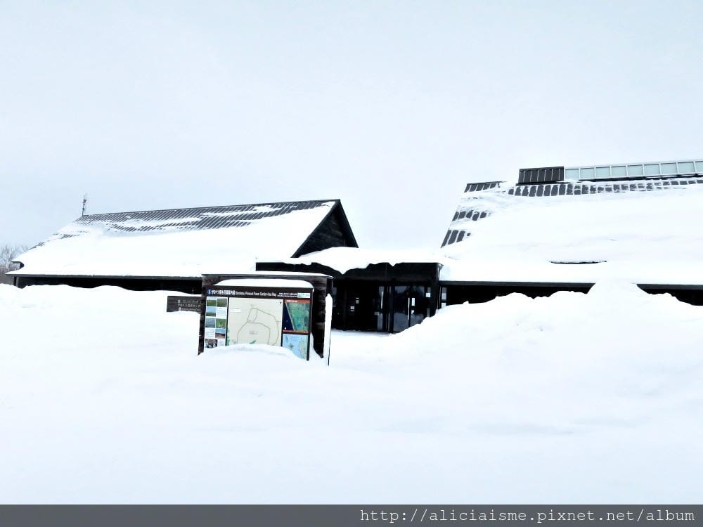 【北海道。豊富站】佐呂別濕原的冬日雪中健行體驗