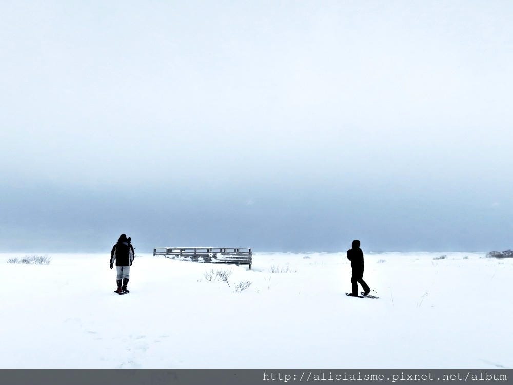 【北海道。豊富站】佐呂別濕原的冬日雪中健行體驗
