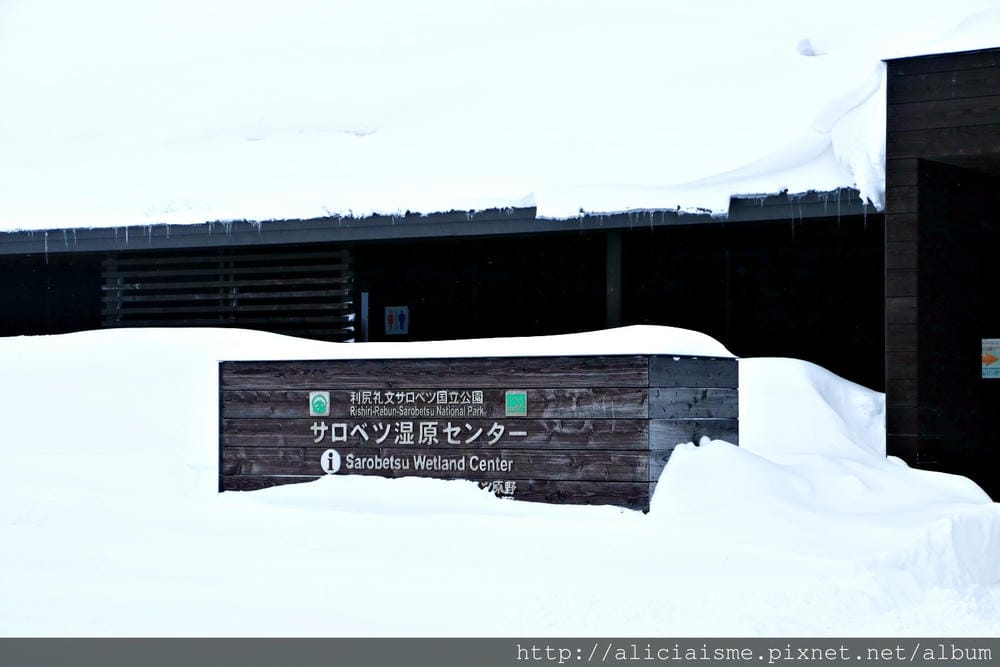【北海道。豊富站】佐呂別濕原的冬日雪中健行體驗