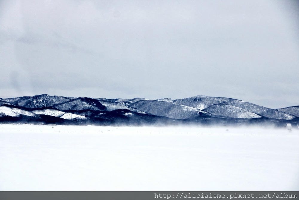 【北海道。豊富站】佐呂別濕原的冬日雪中健行體驗