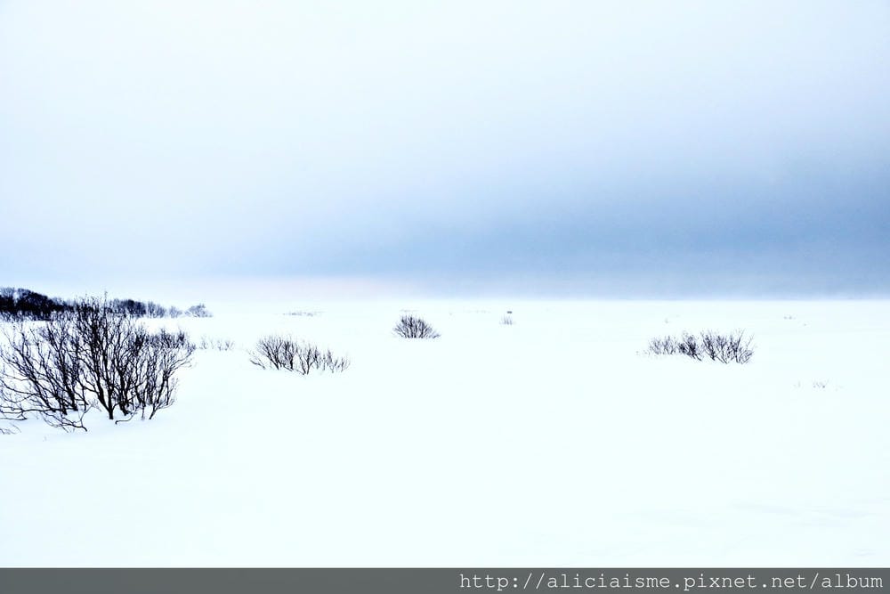 【北海道。豊富站】佐呂別濕原的冬日雪中健行體驗