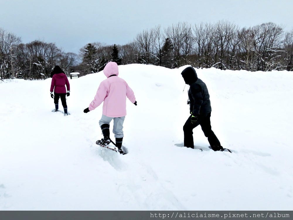 【北海道。豊富站】佐呂別濕原的冬日雪中健行體驗