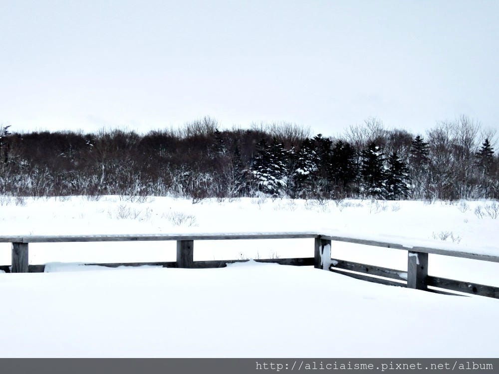 【北海道。豊富站】佐呂別濕原的冬日雪中健行體驗