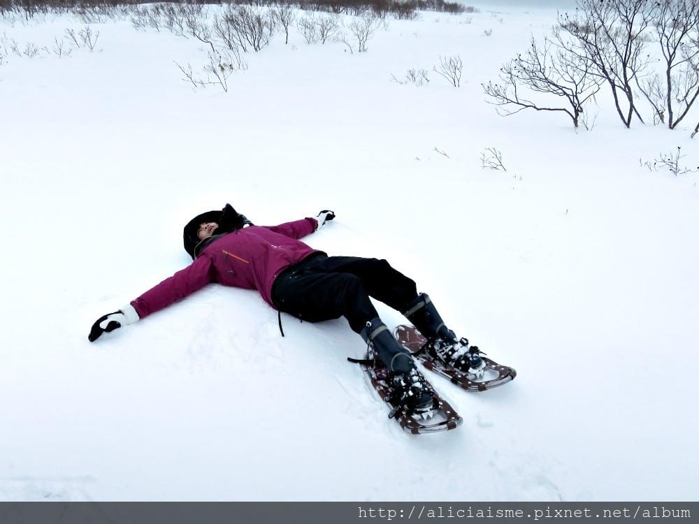 【北海道。豊富站】佐呂別濕原的冬日雪中健行體驗
