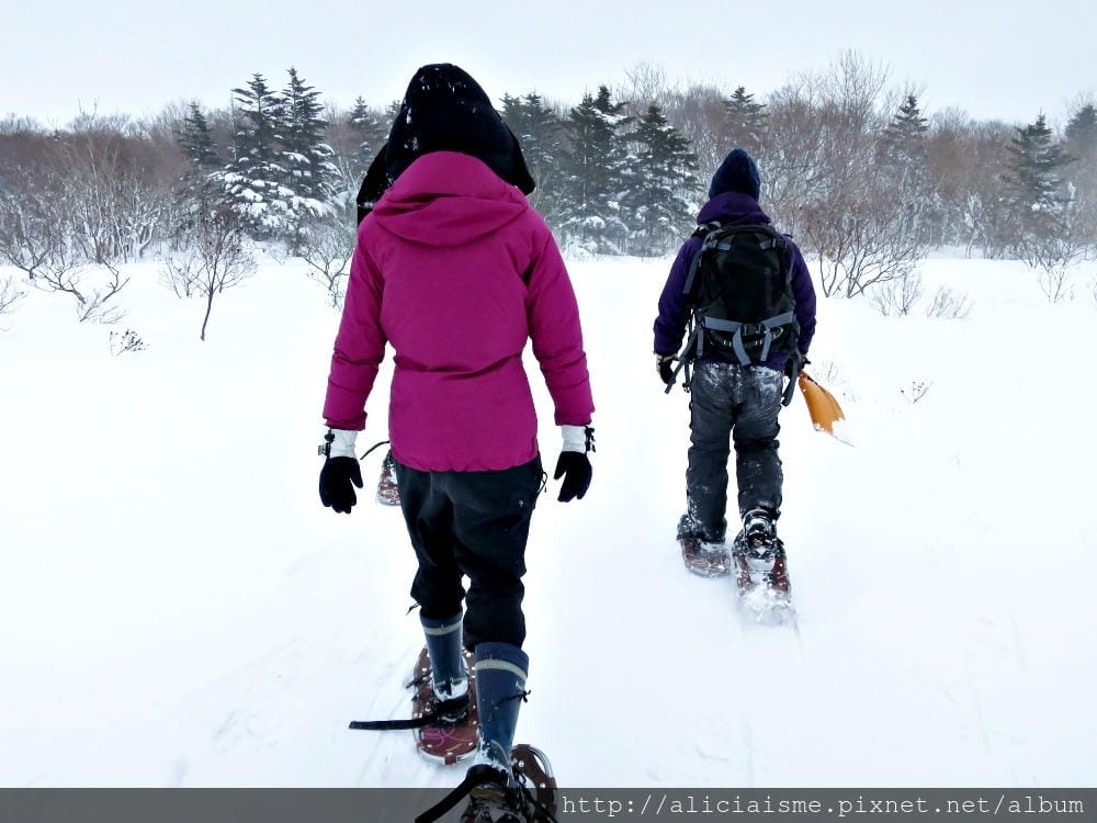 【北海道。豊富站】佐呂別濕原的冬日雪中健行體驗