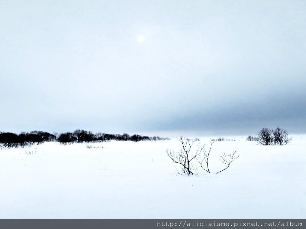 【北海道。豊富站】佐呂別濕原的冬日雪中健行體驗