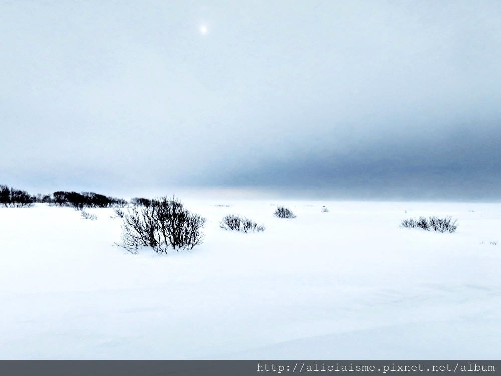 【北海道。豊富站】佐呂別濕原的冬日雪中健行體驗