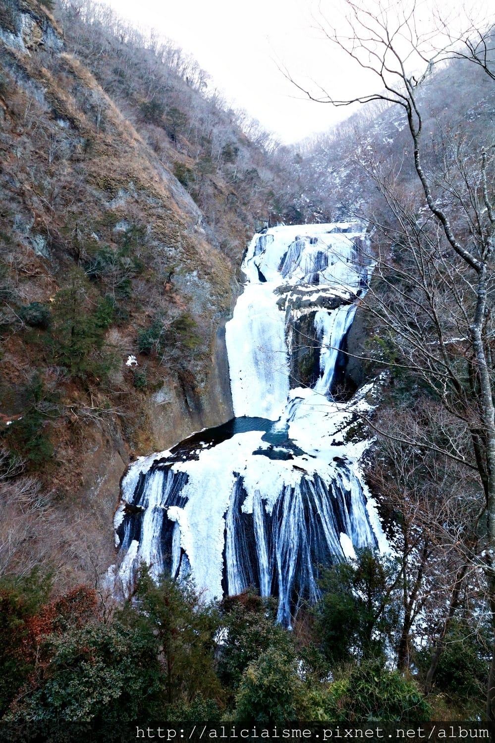 【茨城縣】袋田瀑布：零下世界冰瀑空靈美，四季皆美的3大名瀑（含交通）
