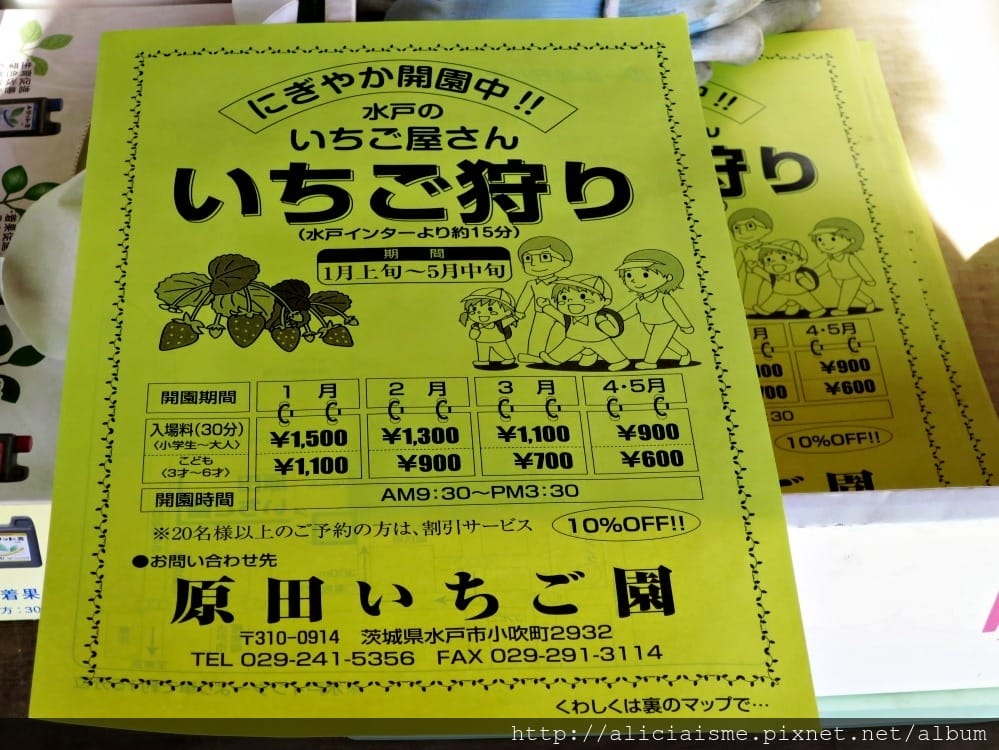 【茨城縣】原田草莓園~章姫、紅臉頰、彌生姬 3大美味品種吃到飽@水戶市