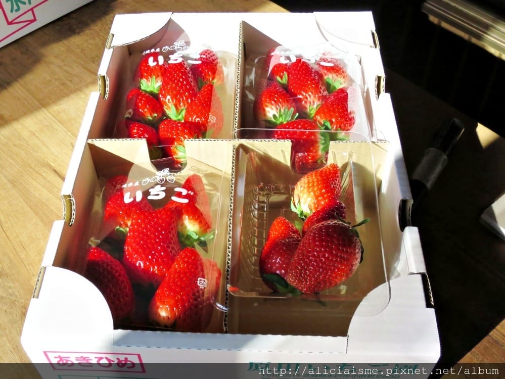 【茨城縣】原田草莓園~章姫、紅臉頰、彌生姬 3大美味品種吃到飽@水戶市