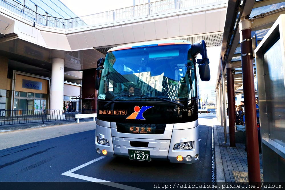 【茨城縣】3天2夜規劃~搭乘常磐號特急,沿著太平洋蔚藍之旅,走訪偕樂園、國營海濱公園花畑與袋田瀑布及日立