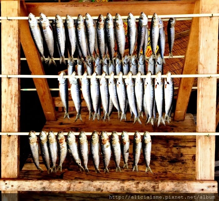 【茨城縣】那珂湊魚市場:千萬別錯過的海港旁新鮮海鮮市場