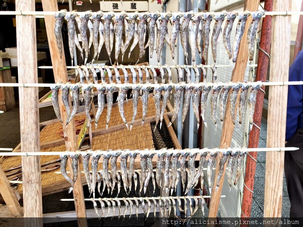【茨城縣】那珂湊魚市場:千萬別錯過的海港旁新鮮海鮮市場