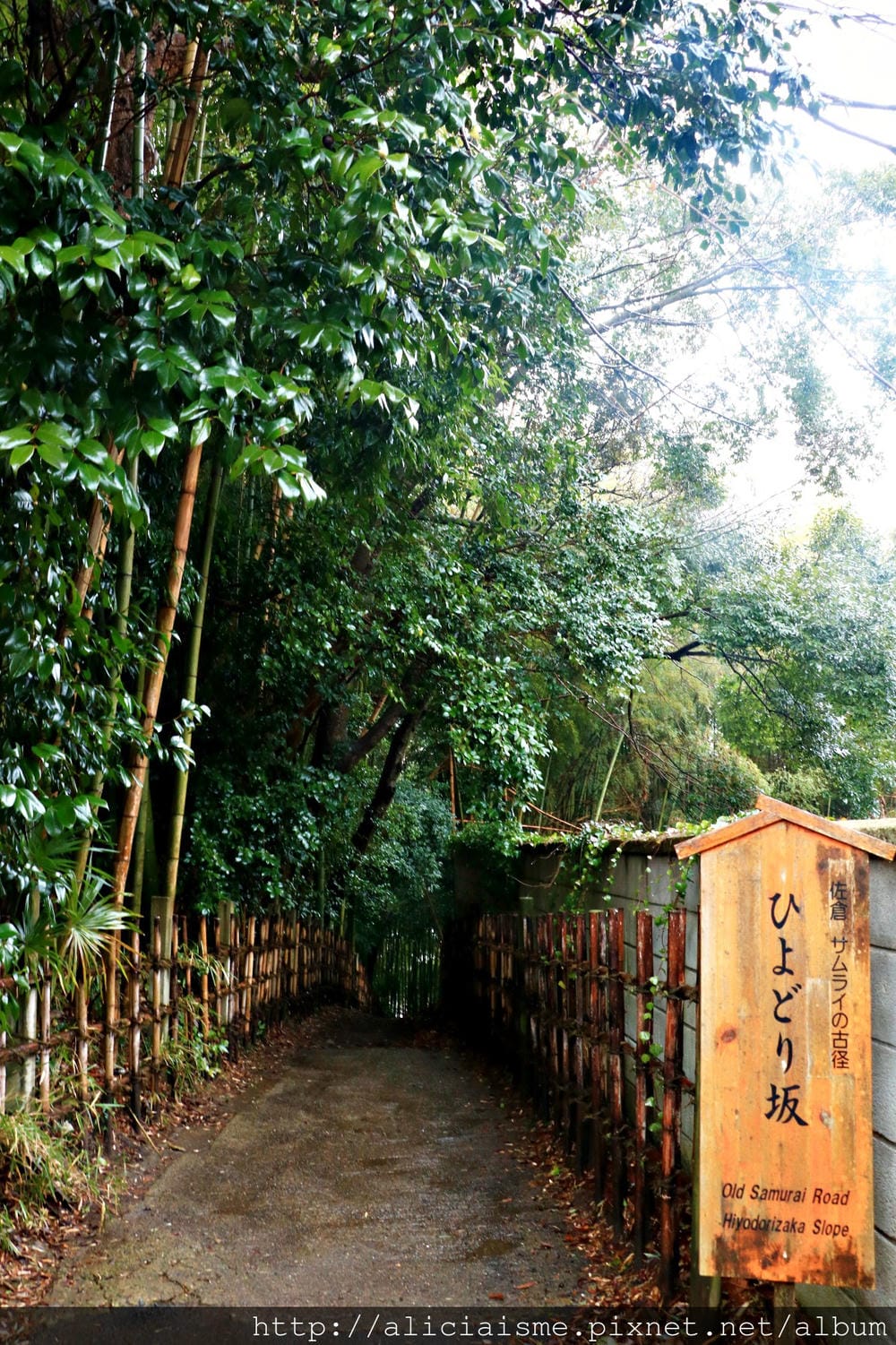 【千葉縣】佐倉漫遊:SAKURA市裡,沒有櫻花,只有飄著潔雪城下町散策