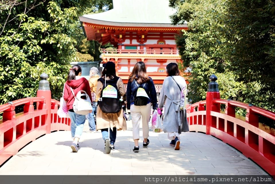 【埼玉市】（季節限定）日本第一長櫻花迴廊下，一起健行拿完走證明！