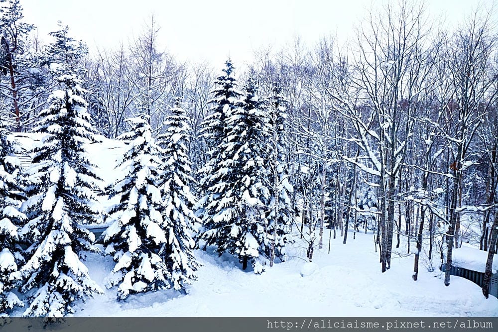 【北海道。稚內】冬雪最北之旅:稚內港北防波堤、宗谷岬、最北麥當勞、豐富溫泉鄉