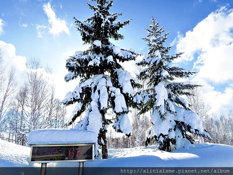 【北海道。幌加內町】母子里水晶公園:來到冰柱山峰般的日本史上極寒體驗
