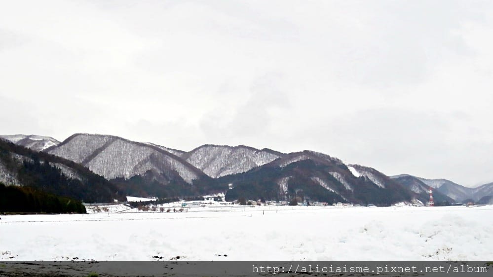 【福島縣】（冬限定）自己採收甜如水果的「雪下高麗菜」、Fruitland最香甜的「紅臉頰草莓」吃到飽、 絕品「豬苗代天上米」