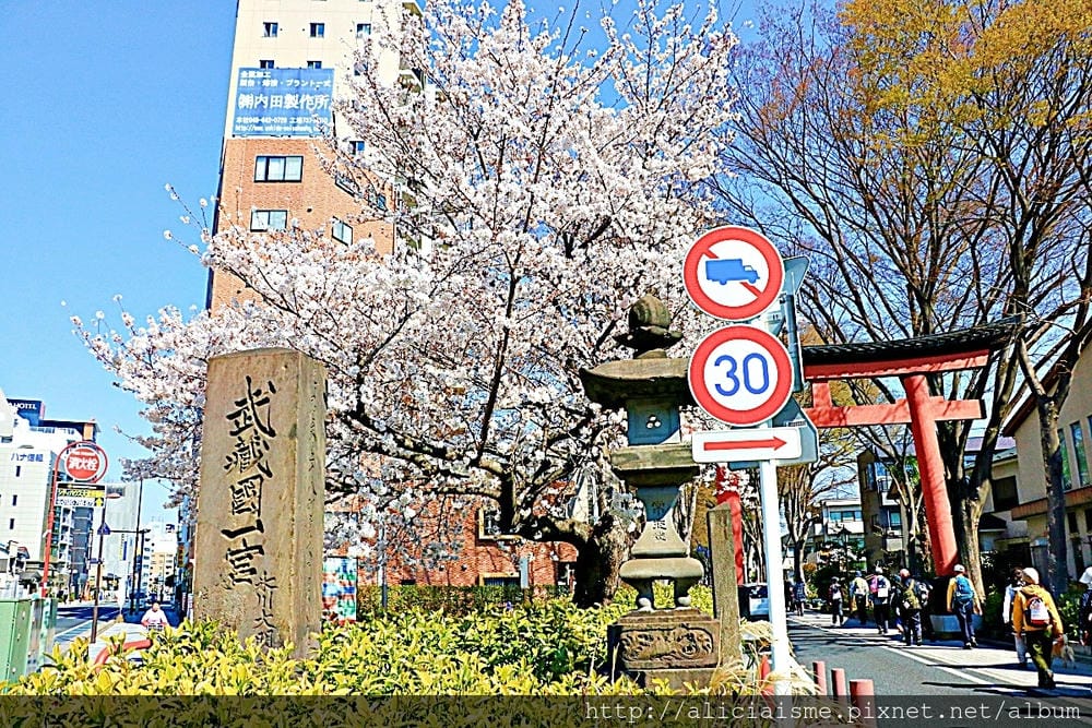 【埼玉市】武藏一宮冰川神社~冰川神社總社，擁有全日本最長參拜道