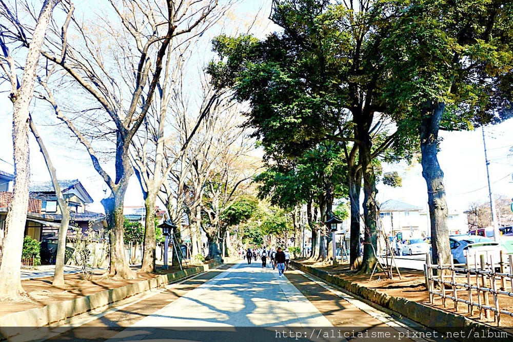【埼玉市】武藏一宮冰川神社~冰川神社總社，擁有全日本最長參拜道