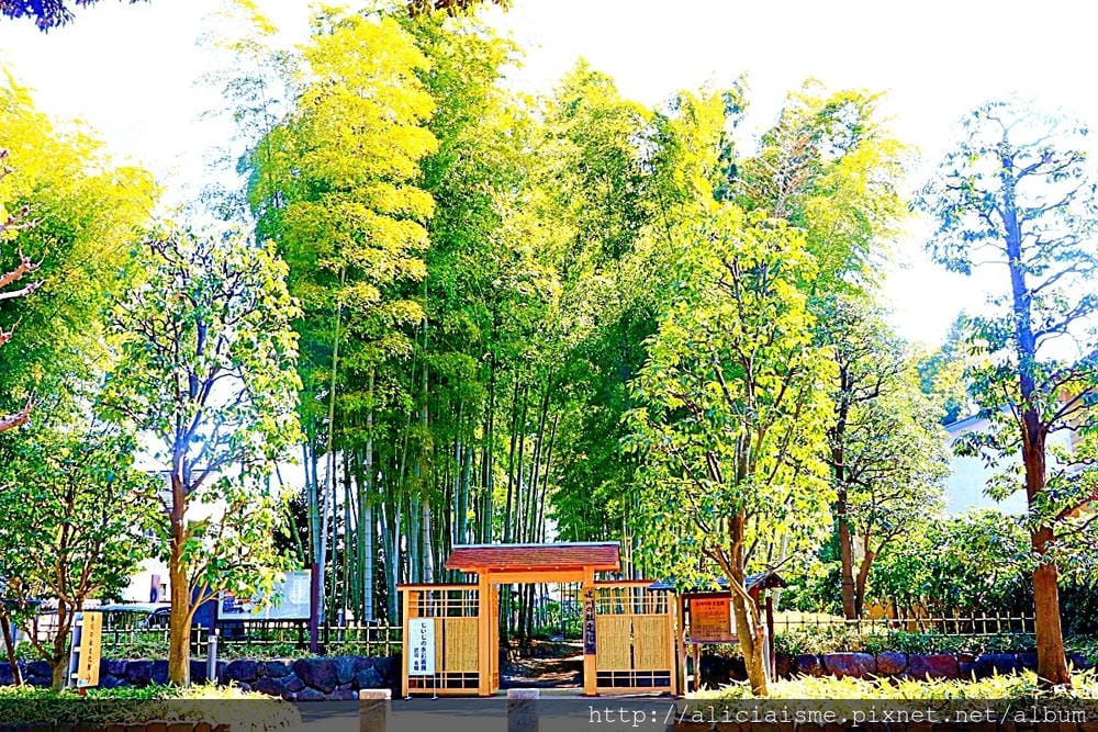 【埼玉市】武藏一宮冰川神社~冰川神社總社，擁有全日本最長參拜道