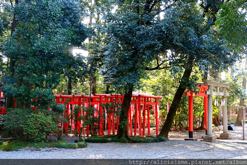 【埼玉市】武藏一宮冰川神社~冰川神社總社，擁有全日本最長參拜道
