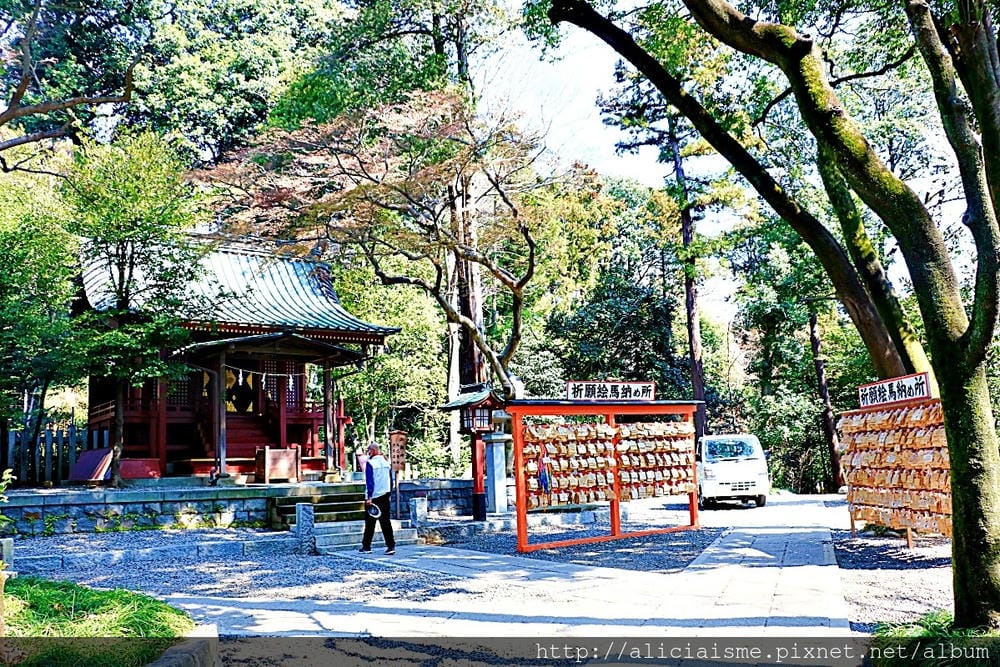 【埼玉市】武藏一宮冰川神社~冰川神社總社，擁有全日本最長參拜道