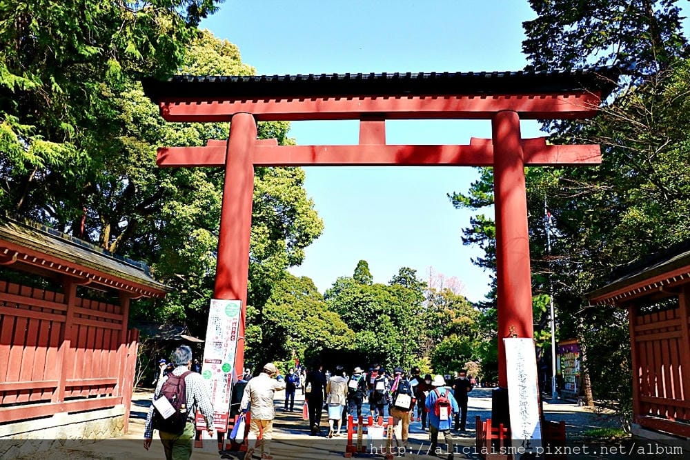 【埼玉市】武藏一宮冰川神社~冰川神社總社，擁有全日本最長參拜道