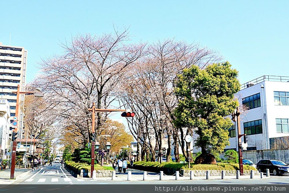 【埼玉市】武藏一宮冰川神社~冰川神社總社，擁有全日本最長參拜道