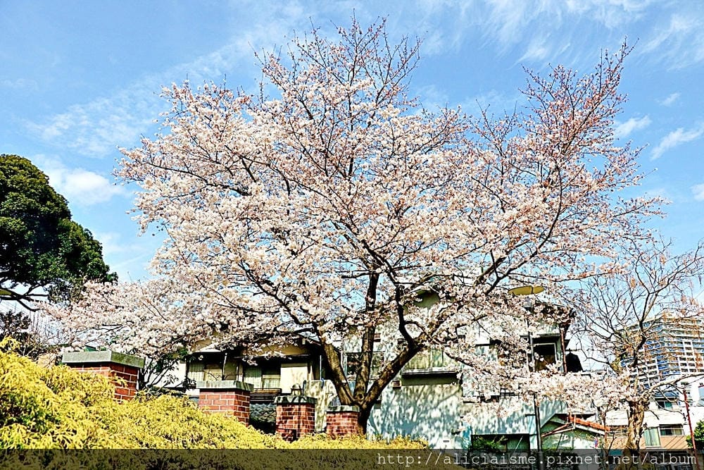 【神奈川縣】 橫濱一日旅(景點及交通規劃)~踩著海風,來趟復古與現代的海洋之旅吧!