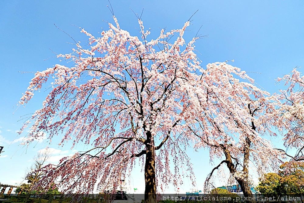 【神奈川縣】 橫濱一日旅(景點及交通規劃)~踩著海風,來趟復古與現代的海洋之旅吧!