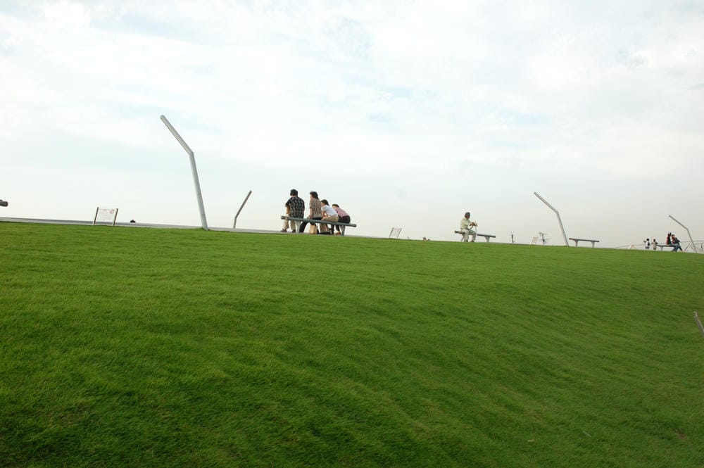 DSC_9156.JPG DSC_9156.JPG
