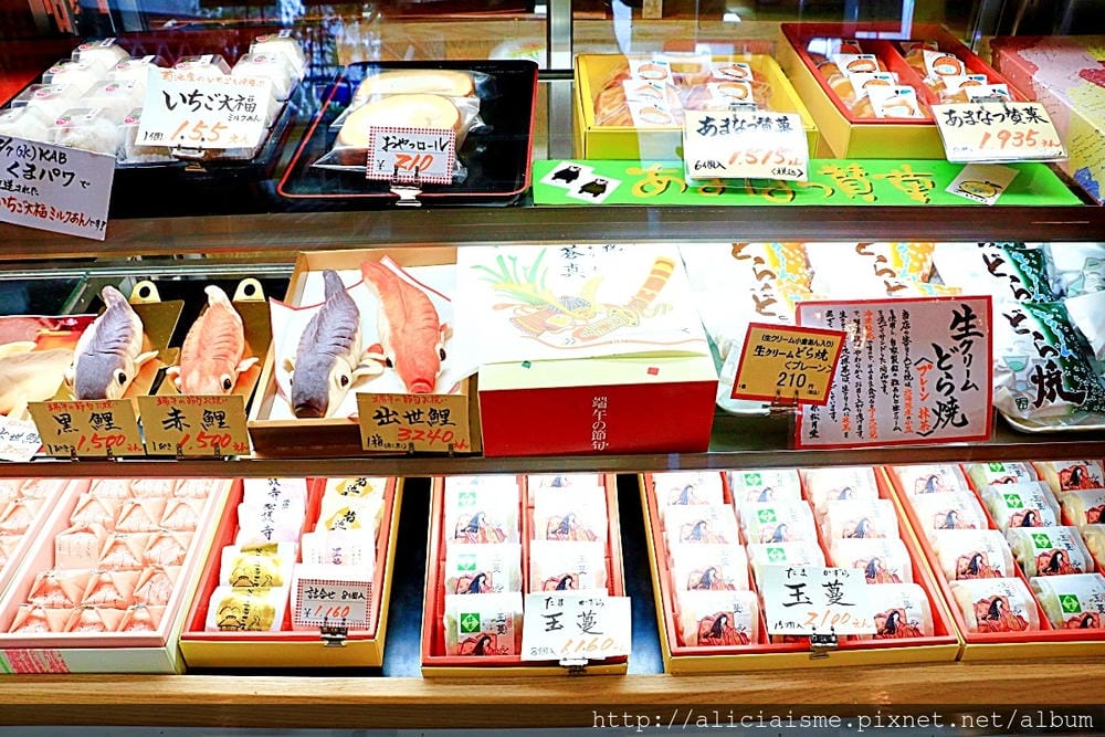 【熊本縣】熊本市郊〈菊池市〉,菊池神社櫻花參道、心中第一名好吃的PIZZA店、和菓子製作體驗