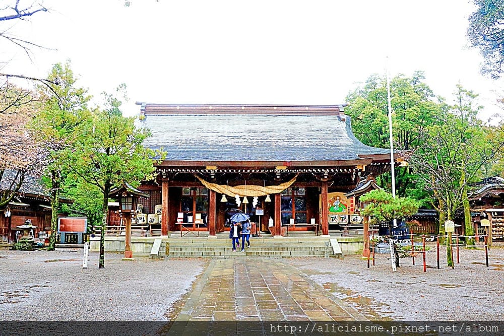 【熊本縣】熊本市郊〈菊池市〉,菊池神社櫻花參道、心中第一名好吃的PIZZA店、和菓子製作體驗