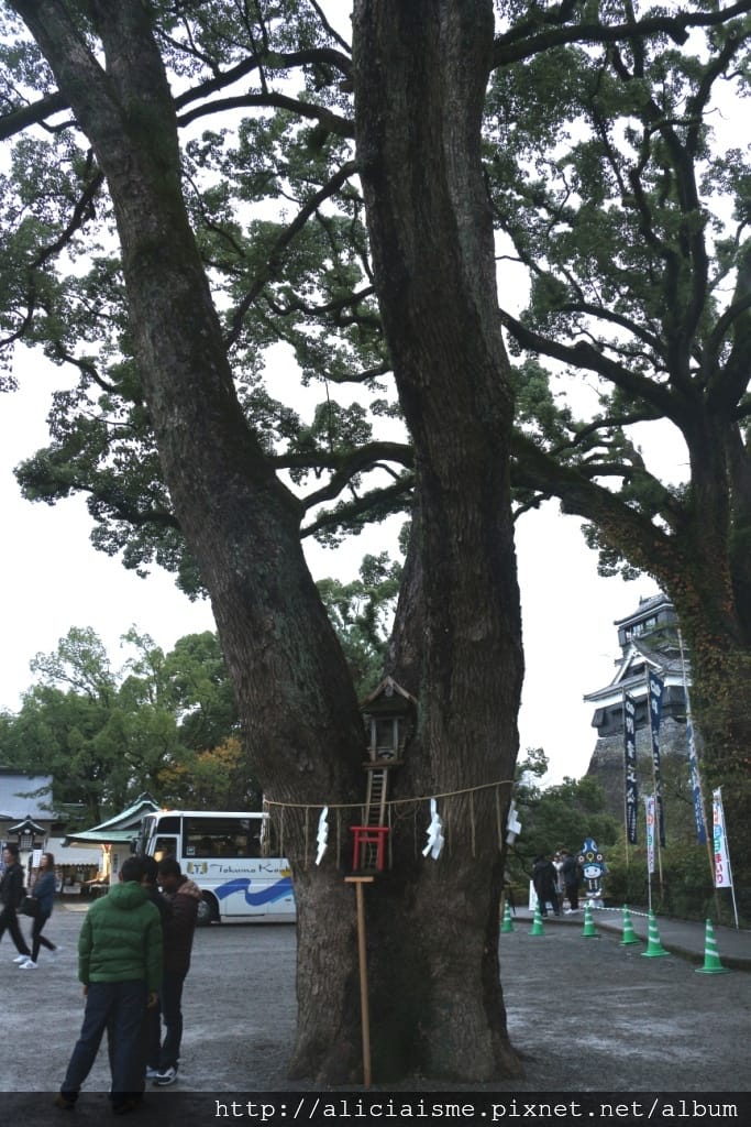 【熊本縣】2024修復更新:三大名城「熊本城」天守閣復活、加 【熊本縣】2024修復更新:三大名城「熊本城」天守閣復活、加