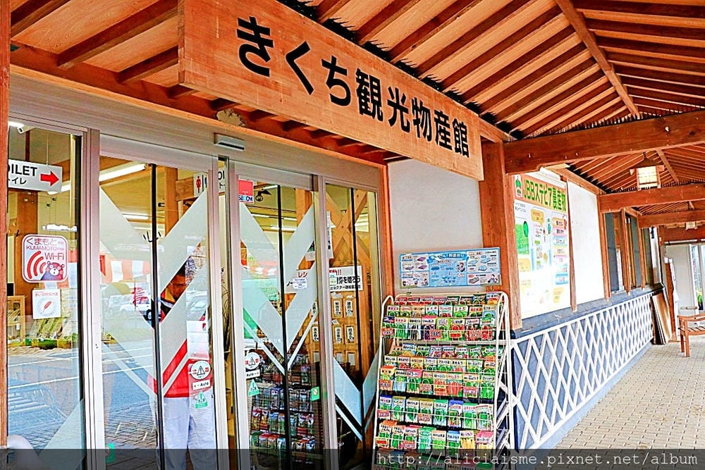 【熊本縣】熊本市郊〈菊池市〉,菊池神社櫻花參道、心中第一名好吃的PIZZA店、和菓子製作體驗
