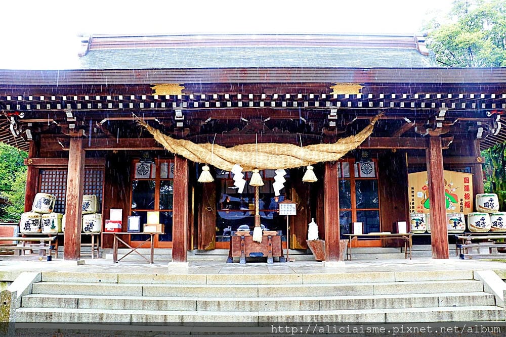 【熊本縣】熊本市郊〈菊池市〉,菊池神社櫻花參道、心中第一名好吃的PIZZA店、和菓子製作體驗