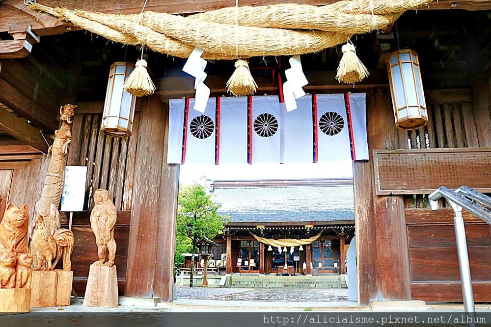 【熊本縣】熊本市郊〈菊池市〉,菊池神社櫻花參道、心中第一名好吃的PIZZA店、和菓子製作體驗