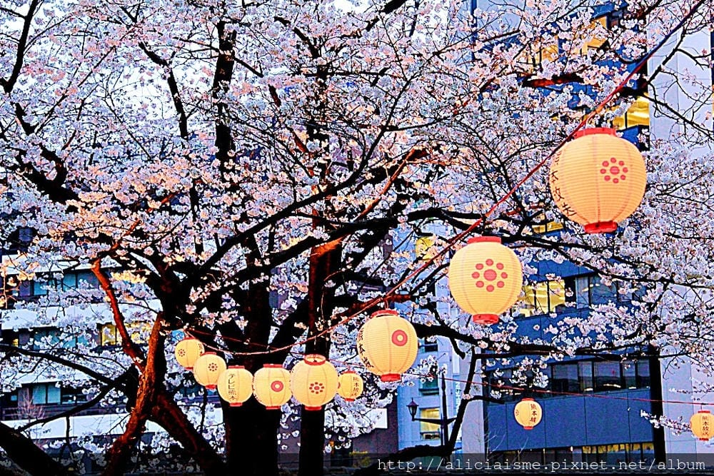 【熊本縣】2024修復更新:三大名城「熊本城」天守閣復活、加 【熊本縣】2024修復更新:三大名城「熊本城」天守閣復活、加