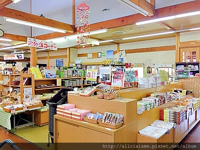 【熊本縣】熊本市郊〈菊池市〉,菊池神社櫻花參道、心中第一名好吃的PIZZA店、和菓子製作體驗