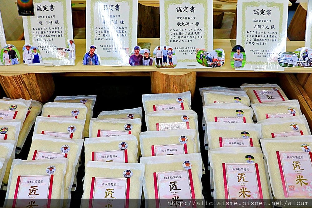 【熊本縣】熊本市郊〈菊池市〉,菊池神社櫻花參道、心中第一名好吃的PIZZA店、和菓子製作體驗