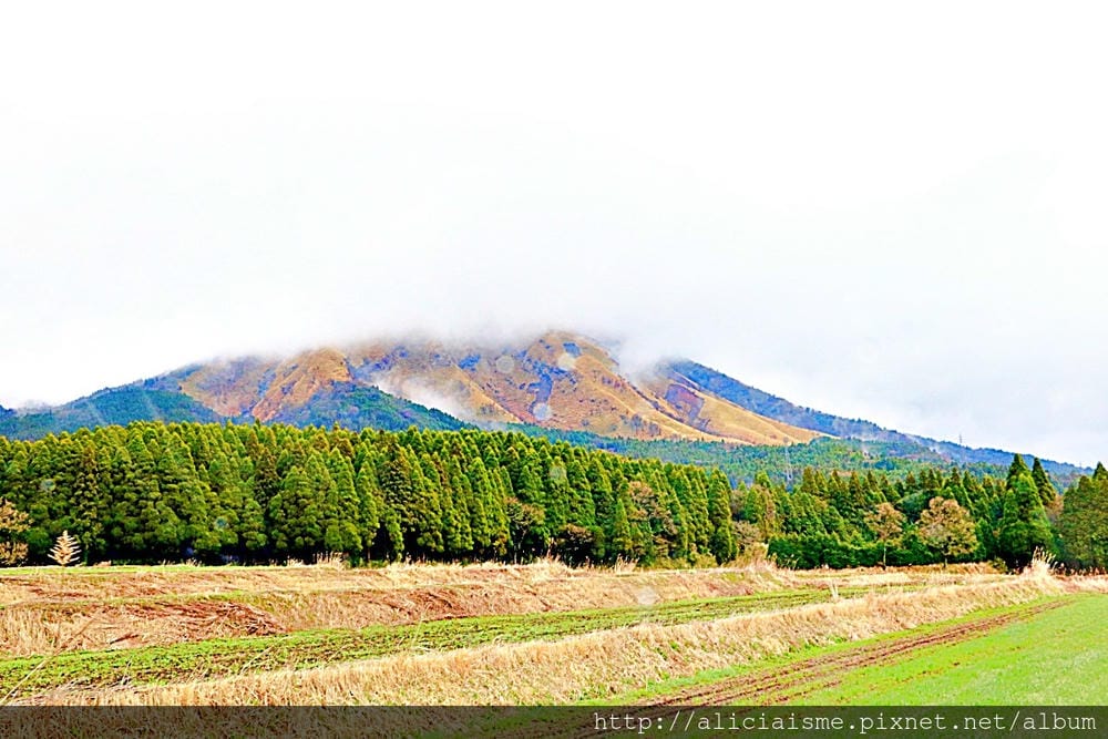 【熊本縣】久木野庵:2000日圓的豪華自產、自製手工蕎麥涮涮鍋、蕎麥草莓可麗餅@南阿蘇