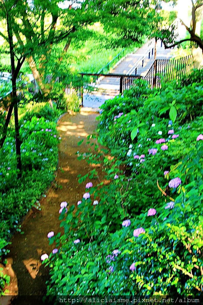 【神奈川縣-橫濱】山下公園、日本郵務船冰川丸、海洋塔、港見丘公園