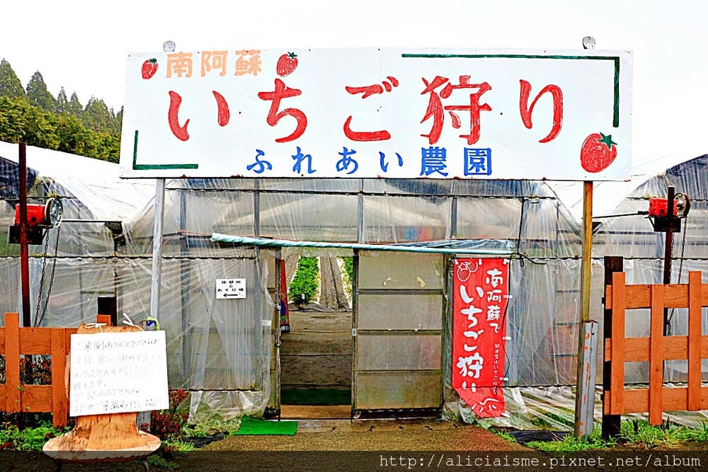 【熊本縣】草莓無時間限制吃到飽的健康「ふれあい農園」、菓子屋 【熊本縣】草莓無時間限制吃到飽的健康「ふれあい農園」、菓子屋