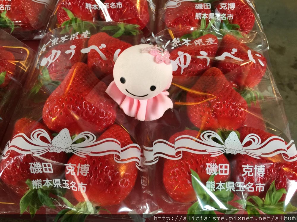 【熊本縣】草莓無時間限制吃到飽的健康「ふれあい農園」、菓子屋 【熊本縣】草莓無時間限制吃到飽的健康「ふれあい農園」、菓子屋