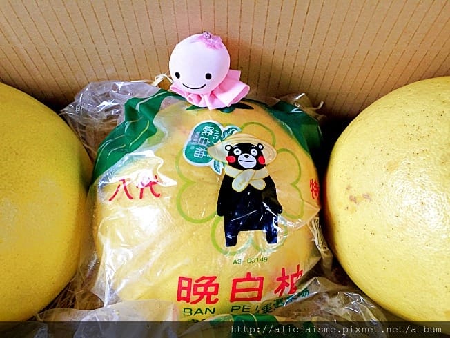 【熊本縣】草莓無時間限制吃到飽的健康「ふれあい農園」、菓子屋 【熊本縣】草莓無時間限制吃到飽的健康「ふれあい農園」、菓子屋