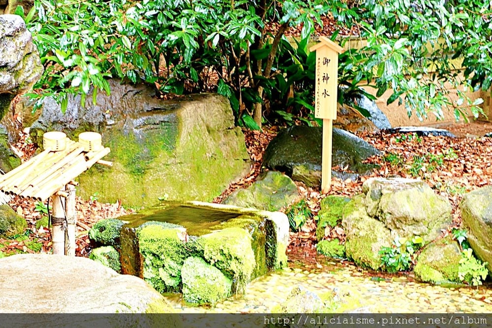 【埼玉縣】川越冰川神社:結緣聖地的日本月老神社及夢幻的春櫻名所(含川越市區交通)